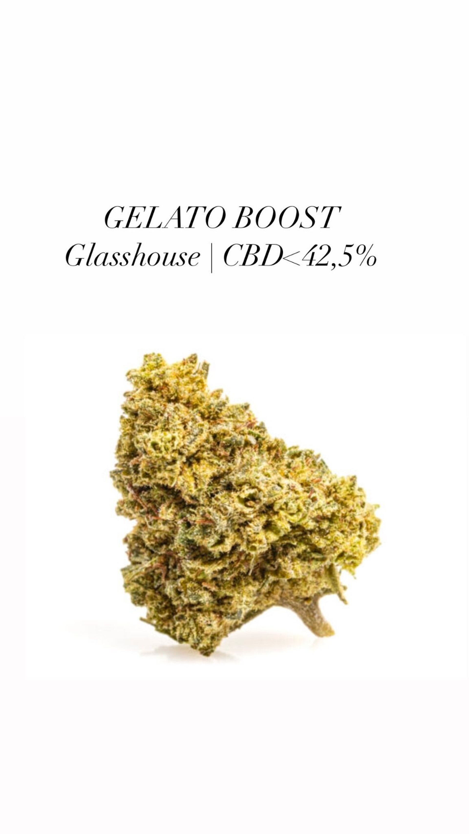 GELATO BOOST / CBD <42.5% - 5