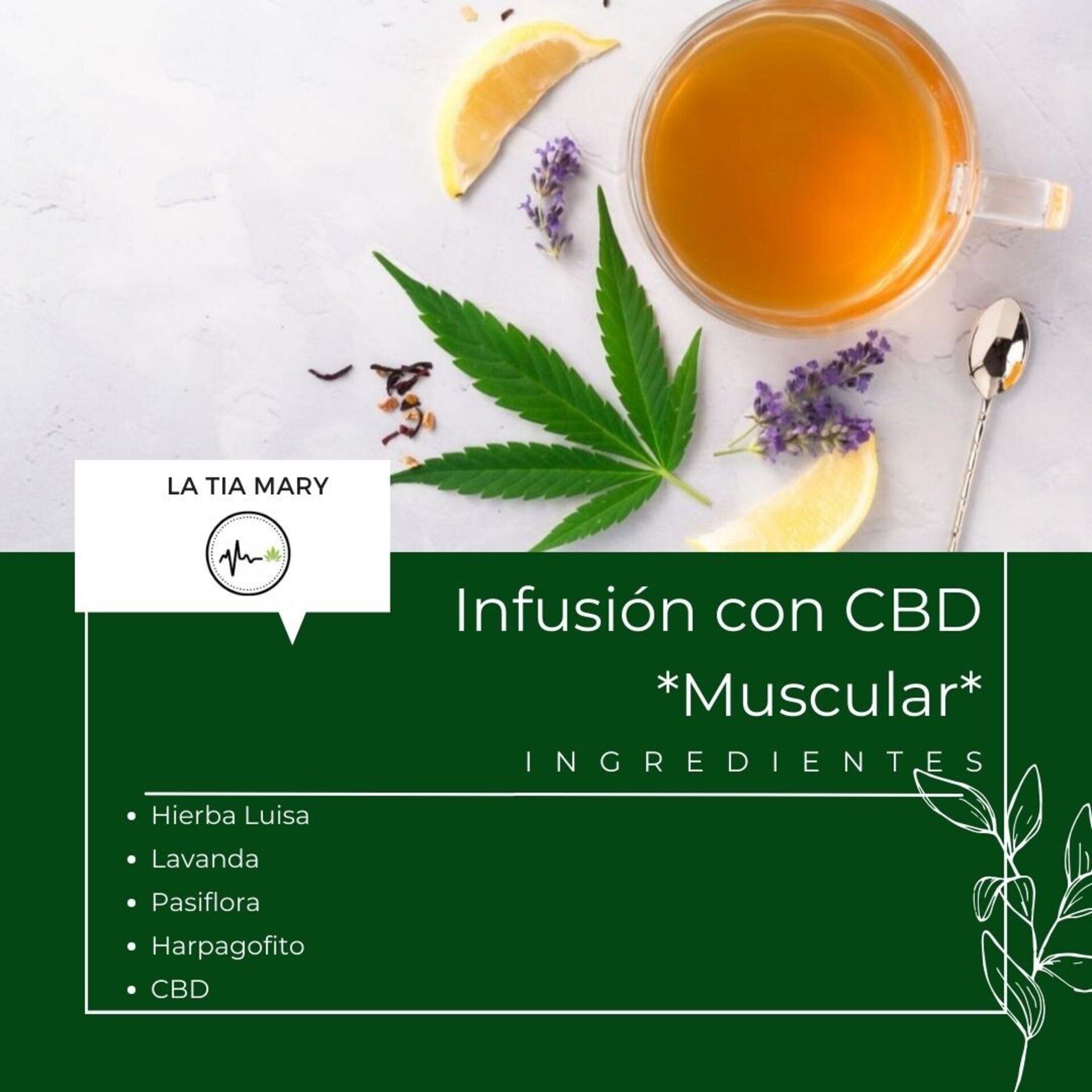 Infusión de CBD *MUSCULAR* - 4