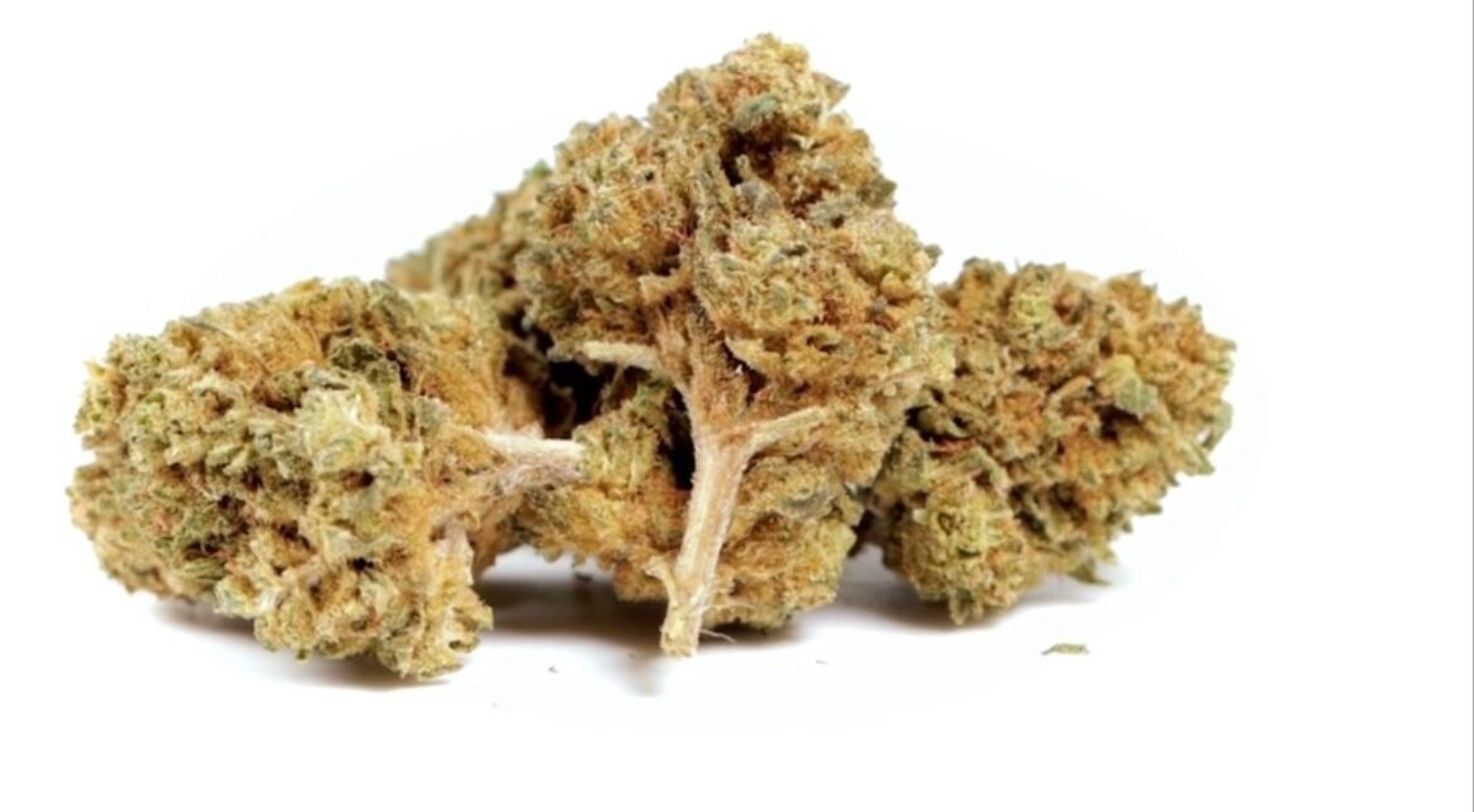 GELATO BOOST / CBD <42.5% - 6